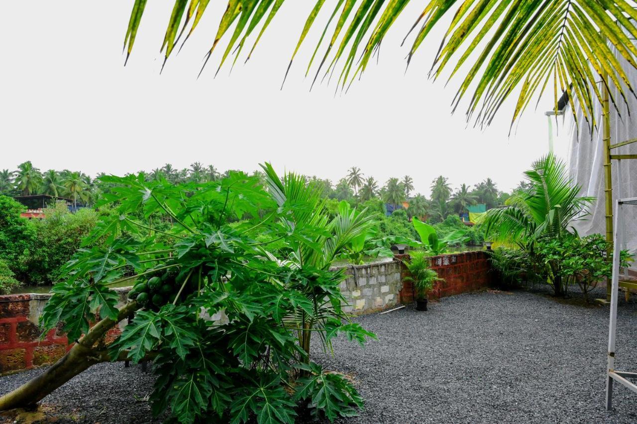 Vedana Retreat Arambol Hotel Luaran gambar